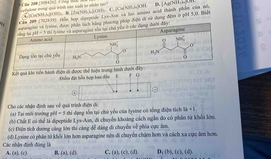 [308426]: Công thực nộa 
cellulose trong quá trình sản xuất tơ nhân tạo? C.[Cu(NH_3)_4]OH. D. [Ag(NH_3)_4]OH.
A. [Cu(NH_3)_4](OH)_2. B. [Zn(NH_3)_4](OH)_2.
H839]: Hỗn hợp dipeptide Lys-Asn và hai amino acid thành phần của nó,
điện di sử dụng đệm ở pH 5,0. Biết
Kết quả khi tiến hành điện di được thể 
Điểm đặt hỗn hợp ban đầu E F G
+
×
Cho các nhận định sau về quá trình điện di:
(a) Tại môi trường pH=5 thì dạng tồn tại chủ yếu của lysine có tổng điện tích 1a+1.
(b) Chất E có thể là dipeptide Lys-Asn, di chuyển khoảng cách ngắn do có phân tử khối lớn.
(c) Điện tích dương càng lớn thì càng dễ dàng di chuyển về phía cực âm.
(d) Lysine có phân tử khối lớn hơn asparagine nên di chuyển chậm hơn và cách xa cực âm hơn.
Các nhận định đúng là
A. (a), (c). B. (a), (d). C. (a),(c),(d). D,(b),(c),(d).