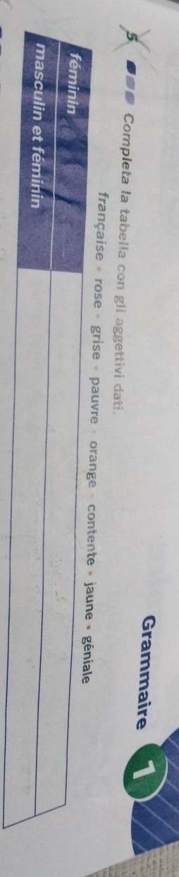 Grammaire 1 
5 Completa la tabella con gli aggettivi dati. 
française « ro