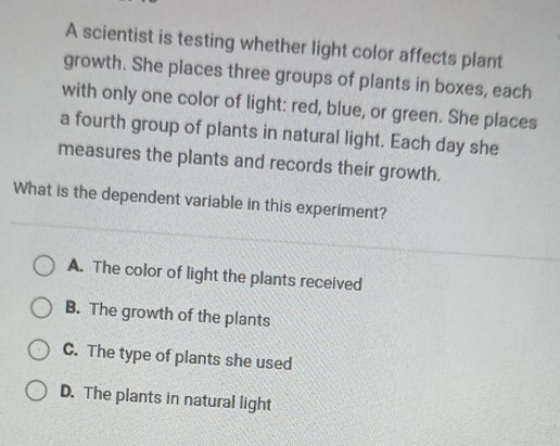 A scientist is testing whether light color affects plant
growth. She places three groups of plants in boxes, each
with only one color of light: red, blue, or green. She places
a fourth group of plants in natural light. Each day she
measures the plants and records their growth.
What is the dependent variable in this experiment?
A. The color of light the plants received
B. The growth of the plants
C. The type of plants she used
D. The plants in natural light