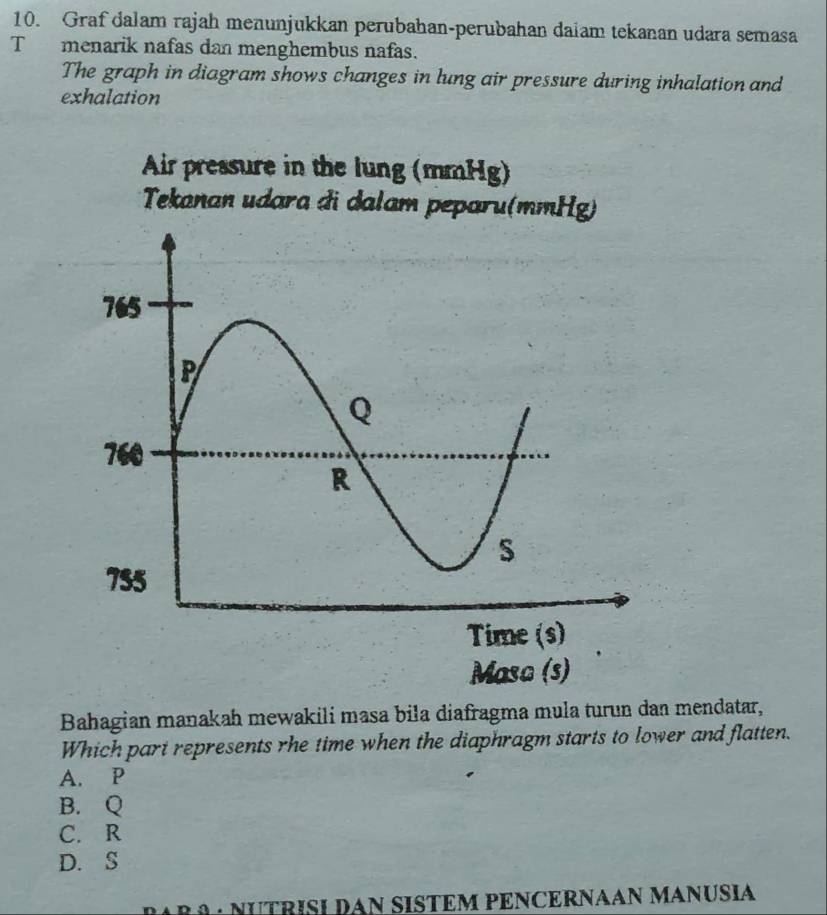 Graf dalam rajah menunjukkan perubahan-perubahan daiam tekanan udara semasa
T menarik nafas dan menghembus nafas.
The graph in diagram shows changes in lung air pressure during inhalation and
exhalation
Air pressure in the lung (mmHg)
Tekanan udara đi dalam peparu(mmHg)
Bahagian manakah mewakili masa bila diafragma mula turun dan mendatar,
Which part represents rhe time when the diaphragm starts to lower and flatten.
A. P
B. Q
C. R
D. S
DARA : NUTRISI DAN SISTEM PENCERNAAN MANUSIA