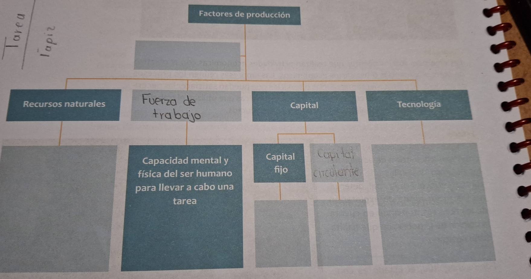 Factores d