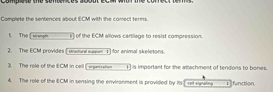 Solved: Complete the sentences about ECM with the ecl lems. Complete ...