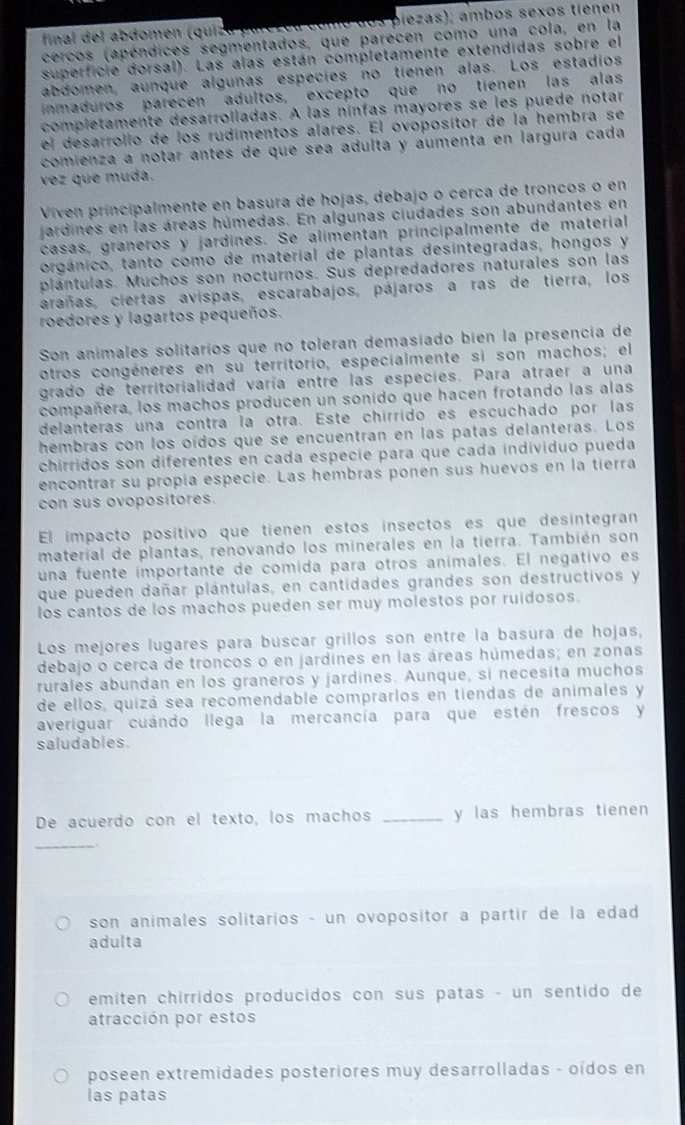 final del abdomén (quizó purezea como dos piezas); ambos sexos tienen
cercos (apéndices segmentados, que parecen como una cola, en la
superficie dorsal). Las alas están completamente extendidas sobre el
abdomen, aunque algunas especies no tienen alas. Los estadios
inmaduros parecen adultos, excepto que no tienen las alas
completamente desarrolladas. A las ninfas mayores se les puede notar
el desarrollo de los rudimentos alares. El ovoposítor de la hembra se
comienza a notar antes de que sea adulta y aumenta en largura cada
vez que muda.
Viven príncipalmente en basura de hojas, debajo o cerca de troncos o en
jardines en las áreas húmedas. En algunas ciudades son abundantes en
casas, graneros y jardínes. Se alímentan príncipalmente de material
orgánico, tanto como de material de plantas desintegradas, hongos y
plántulas. Muchos son nocturnos. Sus depredadores naturales son las
arañas, ciertas avispas, escarabajos, pájaros a ras de tierra, los
roedores y lagartos pequeños.
Son anímales solitarios que no toleran demasiado bien la presencía de
otros congéneres en su territorio, especialmente si son machos; el
grado de territorialidad varía entre las especíes. Para atraer a una
compañera, los machos producen un sonido que hacen frotando las alas
delanteras una contra la otra. Este chírrido es escuchado por las
hembras con los oídos que se encuentran en las patas delanteras. Los
chirridos son diferentes en cada especie para que cada individuo pueda
encontrar su propía especie. Las hembras ponen sus huevos en la tierra
con sus ovopositores.
El impacto positivo que tienen estos insectos es que desintegran
materíal de plantas, renovando los minerales en la tierra. También son
una fuente ímportante de comida para otros anímales. El negativo es
que pueden dañar plántulas, en cantidades grandes son destructivos y
los cantos de los machos pueden ser muy molestos por ruidosos.
Los mejores lugares para buscar grillos son entre la basura de hojas,
debajo o cerca de troncos o en jardines en las áreas húmedas; en zonas
rurales abundan en los graneros y jardines. Aunque, si necesita muchos
de ellos, quizá sea recomendable comprarlos en tiendas de animales y
averiguar cuándo llega la mercancía para que estén frescos y
saludables.
De acuerdo con el texto, los machos _y las hembras tienen
_
、
son animales solitarios - un ovopositor a partir de la edad
adulta
emiten chirridos producidos con sus patas - un sentido de
atracción por estos
poseen extremidades posteriores muy desarrolladas - oídos en
las patas