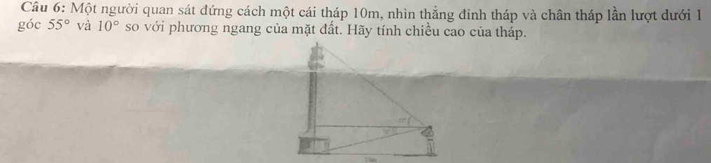 Một người quan sát đứng cách một cái tháp 10m, nhìn thắng đinh tháp và chân tháp lần lượt dưới 1
góc 55° và 10° so với phương ngang của mặt đất. Hãy tính chiều cao của tháp.
tūm