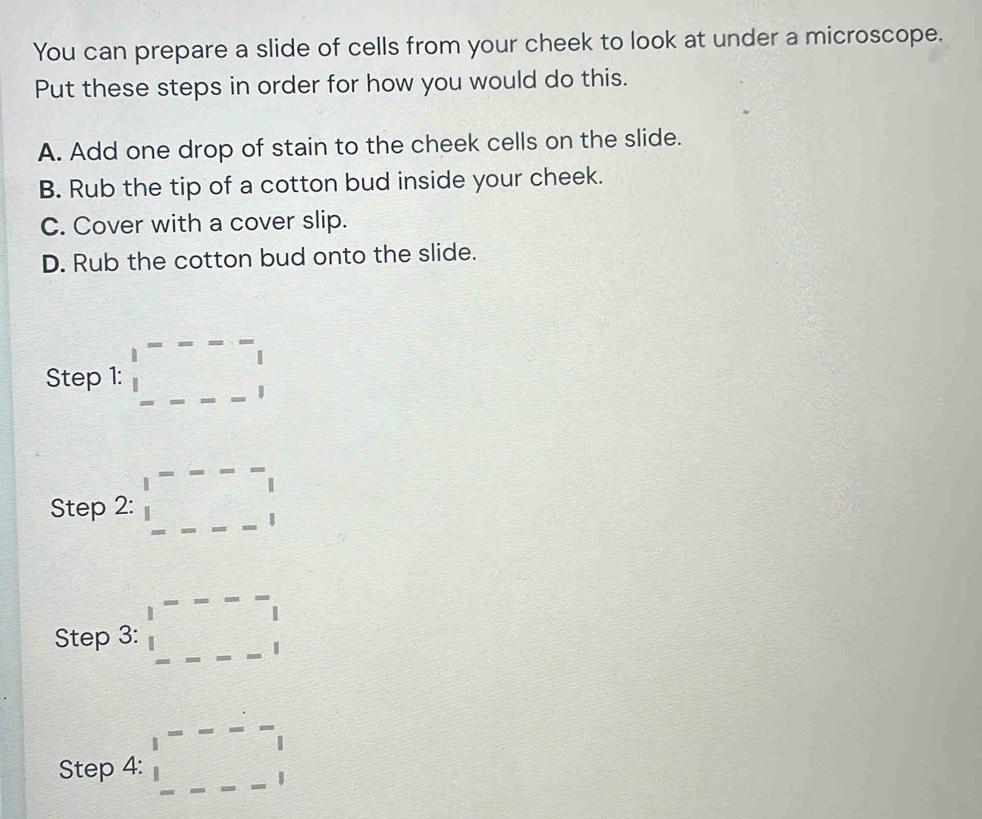 You can prepare a slide of cells from your cheek to look at under a microscope.
Put these steps in order for how you would do this.
A. Add one drop of stain to the cheek cells on the slide.
B. Rub the tip of a cotton bud inside your cheek.
C. Cover with a cover slip.
D. Rub the cotton bud onto the slide.
Step 1 : beginarrayr |----| |---|-|endarray
Step 2:□ =---1
Step 3: □^-_-_- | endarray beginarrayr - -endarray
Step 4: □^(----) ---endarray beginarrayr  --endarray beginarrayr -1 1endarray