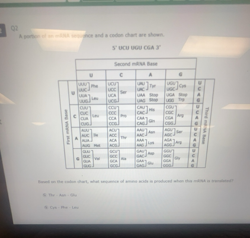 Solved: A portion of an mRNA sequence and a codon chart are shown. 5 ...