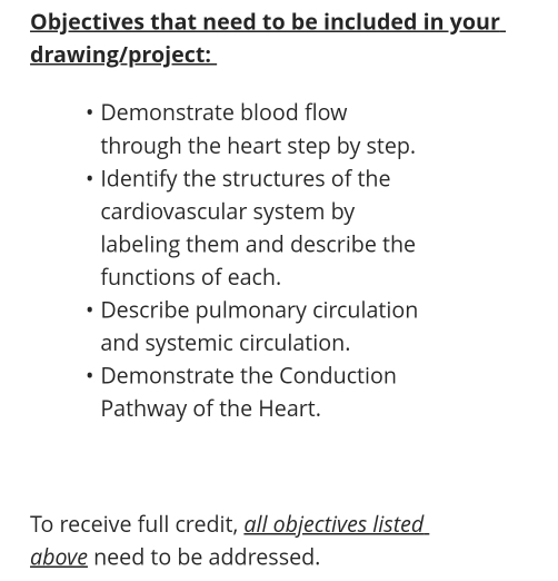 Objectives that need to be included in your 
drawing/project: 
Demonstrate blood flow 
through the heart step by step. 
Identify the structures of the 
cardiovascular system by 
labeling them and describe the 
functions of each. 
Describe pulmonary circulation 
and systemic circulation. 
Demonstrate the Conduction 
Pathway of the Heart. 
To receive full credit, all objectives listed 
above need to be addressed.