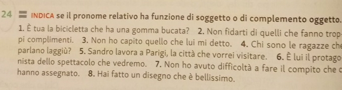 24 = INDICA se il pronome relativo ha funzione di soggetto o di complemento oggetto. 
1. È tua la bicicletta che ha una gomma bucata? 2. Non fidarti di quelli che fanno trop 
pi complimenti. 3. Non ho capito quello che lui mi detto. 4. Chi sono le ragazze che 
parlano laggiù? 5. Sandro lavora a Parigi, la città che vorrei visitare. 6. È lui il protago 
nista dello spettacolo che vedremo. 7. Non ho avuto difficoltà a fare il compito che o 
hanno assegnato. 8. Hai fatto un disegno che è bellissimo.