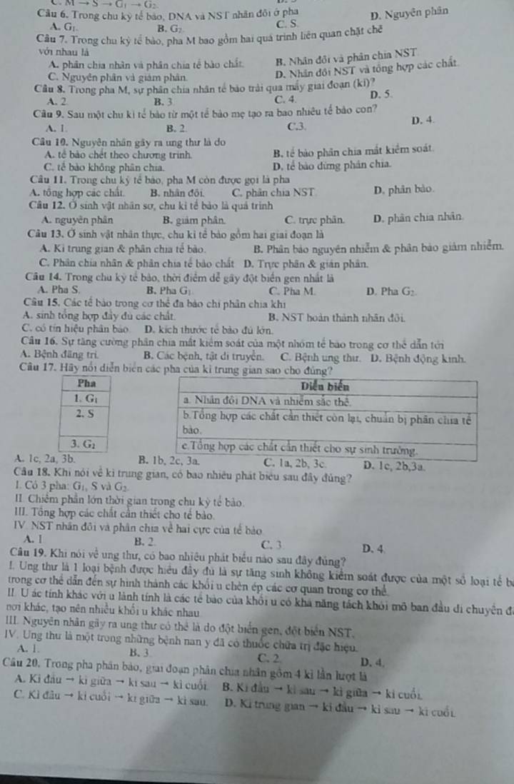 Mto Sto G_1to G_2
Cầu 6. Trong chu kỳ tế báo, DNA và NST nhân đôi ở pha D. Nguyên phân
A. G_1. G_7 C. S
B.
Câu 7. Trong chu kỳ tể bào, phá M bao gồm hai quá trình liên quan chặt chế
với nhau là
A. phân chia nhân và phân chia tế bào chất B. Nhân đồi và phân chia NST
C. Nguyên phân và giảm phân.
D. Nhân đôi NST và tổng hợp các chất
Câu 8. Trong pha M, sự phân chia nhân tế bão trải qua máy giai đoạn (ki)?
A. 2 B. 3 C. 4. D. 5.
Câu 9. Sau một chu ki tế bảo từ một tế bảo mẹ tạo ra bao nhiêu tế bảo con? D. 4.
A. 1. B. 2 C.3.
Câu 10. Nguyên nhân gây ra ung thư là do
A. tể bảo chết theo chương trinh
B tế bảo phần chia mắt kiểm soát
C. tế bào không phân chia. D. tế bào đừng phân chia.
Câu 11. Trong chu ký tế bào, pha M còn được gọi là pha
A. tông hợp các chất B. nhân đội C. phân chia NST D. phân bào
Câu 12. Ở sinh vật nhân sơ, chu kỉ tế bảo là quả trình
A. nguyên phân B. giảm phân. C. trực phân. D. phân chia nhân
Câu 13. Ở sinh vật nhân thực, chu kỉ tể bảo gồm hai giai đoạn là
A. Ki trung gian & phân chia tế bào. B. Phân bảo nguyên nhiễm & phân bảo giảm nhiễm.
C. Phân chia nhân & phân chia tế bảo chất D. Trực phân & gián phân.
Câu 14. Trong chu kỳ tế bào, thời điểm dể gây đột biển gen nhất là
A. Pha S. B. Pha G_1 C. Pha M. D. Pha G_2
Câu 15, Các tế bảo trong cơ thể đa bảo chi phân chia khi
A. sinh tổng hợp đầy đù các chất. B. NST hoàn thành nhân đội.
C. có tín hiệu phân báo D. kích thước tế bào đú lớn.
Câu 16. Sự tăng cường phần chia mất kiểm soát của một nhóm tế bao trong cơ thể dẫn tới
A. Bệnh đăng tri B. Các bệnh, tật di truyền. C. Bệnh ung thư. D. Bệnh động kinh.
Câu 17. Hãy nổi diễn biển các pha của kỉ trung gian sao cho đúng?
 
 
A. 1c. 2 B.
Câu 18. Khi nói về kì trung gian, có bao nhiều phát biểu sau đây đủng?
1. Có 3 pha: G_1,S và G_2
II. Chiêm phần lớn thời gian trong chu kỳ tế bảo.
III. Tổng hợp các chất cần thiết cho tế bảo.
IV. NST nhân đôi và phân chia về hai cực của tế bào
A. I B. 2 C. 3 D. 4
Câu 19. Khi nói về ung thư, có bao nhiêu phát biểu nào sau đây đủng?
I. Ung thư là 1 loại bệnh được hiểu đây đủ là sự tăng sinh không kiểm soát được của một số loại tế bộ
trong cơ thể dẫn đến sự hình thành các khổi u chên ép các cơ quan trong cơ thể
I.U ác tính khác với u lành tính là các tế bảo của khổi u có khả năng tách khỏi mô ban đầu di chuyển đá
nơi khác, tạo nên nhiều khối u khác nhau
IIL Nguyên nhân gây ra ung thư có thể là do đột biển gen, đột biển NST,
IV. Ung thư là một trong những bệnh nan y đã có thuốc chữa trị đặc hiệu.
A. 1. B. 3 C. 2 D. 4.
Câu 20, Trong pha phân bảo, giai đoạn phân chia nhân gồm 4 kỉ lần lượt là
A. Ki đầu → ki giữa → ki sau → kì cuối B. Ki đầu → ki sau → kì giữa → ki cuối
C. Kì đầu → ki cuồi → ki giữa → kì sau. D. Ki trung gian → ki đầu → ki sau → ki cuối