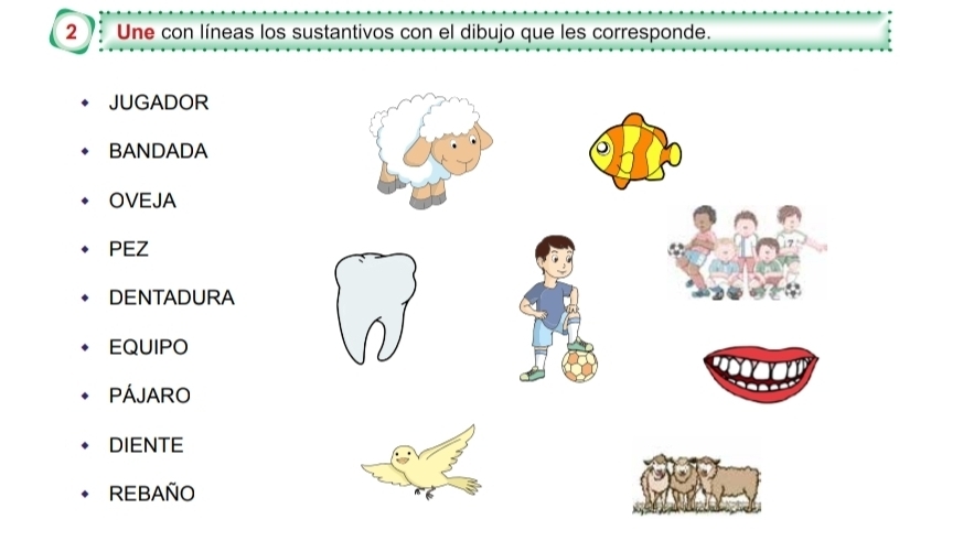 Une con líneas los sustantivos con el dibujo que les corresponde.
JUGADOR
BANDADA
OVEJA
PEZ
DENTADURA
EQUIPO
PÁJARO
DIENTE
REBAÑO