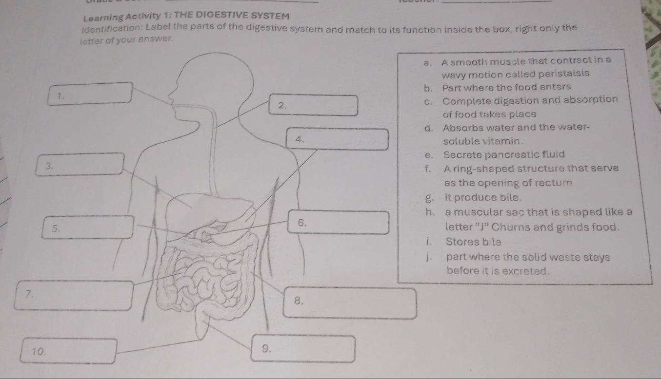 Learning Activity 1: THE DIGESTIVE SYSTEM
Identification: Label the parts of the digestive system and match to its function inside the box, right only the
letter of your answer.
a. A smooth muscle that contract in a
wavy motion called peristalsis
1. b. Part where the food enters
2. c. Complete digestion and absorption
of food takes place
d. Absorbs water and the water-
4. soluble vitamin.
e. Secrete pancreatic fluid
3.
f. A ring-shaped structure that serve
as the opening of rectum
g. It produce bile.
h. a muscular sac that is shaped like a
6.
5. letter “J” Churns and grinds food.
i. Stores bile
j. part where the solid waste stays
before it is excreted.
7.
8.
10. 9.