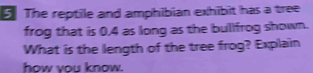 The reptile and amphibian exhibit has a tree 
frog that is 0.4 as long as the bullfrog shown. 
What is the length of the tree frog? Explain 
how you know.