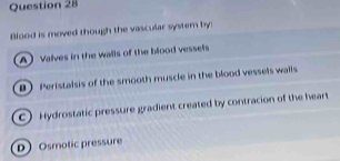 Blood is moved though the vascular system by:
A) Valves in the walls of the blood vessels
#) Peristalsis of the smooth muscle in the blood vessels walls
C Hydrostatic pressure gradient created by contracion of the heart
D Osmotic pressure