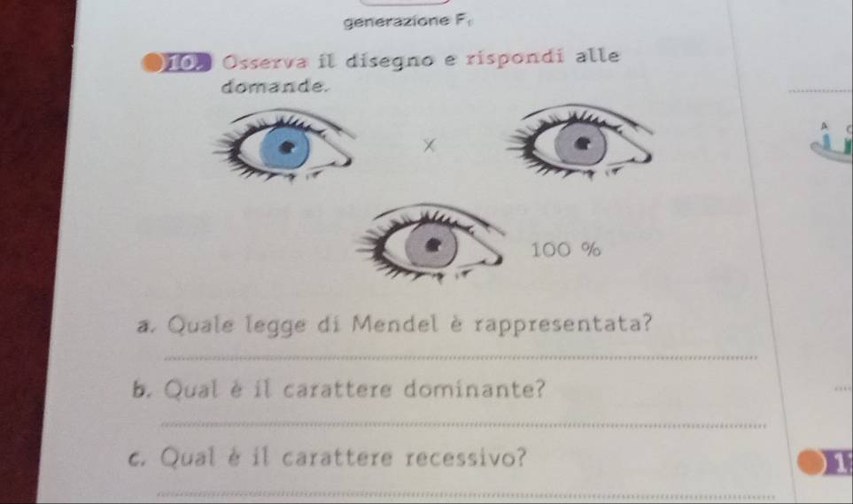 generazione F_1
10 Osserva il disegno e rispondi alle 
a. Quale legge di Mendel è rappresentata? 
_ 
b. Qual è il carattere dominante? 
_ 
c. Qual è il carattere recessivo? 
_