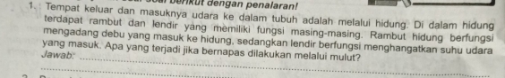 dengan penalaran! 
1. Tempat keluar dan masuknya udara ke dalam tubuh adalah melalui hidung. Di dalam hidung 
terdapat rambut dan lendir yang memiliki fungsi masing-masing. Rambut hidung berfungsi 
_ 
mengadang debu yang masuk ke hidung, sedangkan lendir berfungsi menghangatkan suhu udara 
yang masuk. Apa yang terjadi jika bernapas dilakukan melalui mulut? 
Jawab: 
_