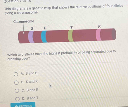 Question / of fü
This diagram is a genetic map that shows the relative positions of four alleles
along a chromosome.
osome
Which two alleles have the highest probability of being separated due to
crossing over?
A. S and B
B. S and R
C. B and R
D. B and T
PREVIOUS