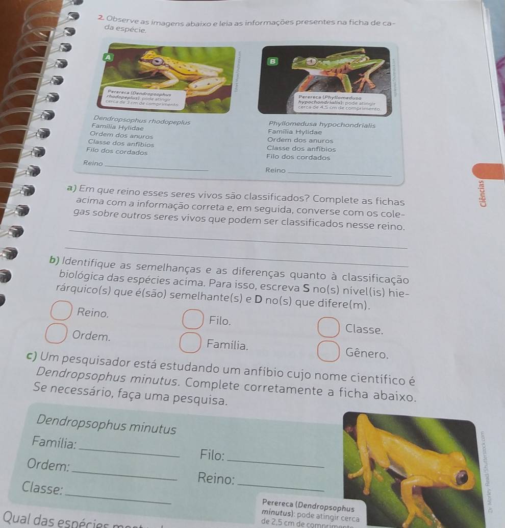 Observe as imagens abaixo e leia as informações presentes na ficha de ca- 
da espécie. 
dropsophus rhodopeplus Phyllomedusa hypochondrialis 
Família Hylidae 
Família Hylidae 
Ordem dos anuros Ordem dos anuros 
Classe dos anfibios Classe dos anfíbios 
Filo dos cordados Filo dos cordados 
Reino_ 
Reino_ 
a) Em que reino esses seres vivos são classificados? Complete as fichas 
acima com a informação correta e, em seguida, converse com os cole- 
_ 
gas sobre outros seres vivos que podem ser classificados nesse reino. 
_ 
b) Identifique as semelhanças e as diferenças quanto à classificação 
biológica das espécies acima. Para isso, escreva S no(s) nivel(is) hie- 
rárquico(s) que é(são) semelhante(s) e D no(s) que difere(m). 
Reino. Filo. Classe. 
Ordem. Familia. Gênero. 
c) Um pesquisador está estudando um anfíbio cujo nome científico é 
Dendropsophus minutus. Complete corretamente a ficha abaixo. 
Se necessário, faça uma pesquisa. 
Dendropsophus minutus 
_ 
Família: 
_ 
Filo: 
Ordem:_ Reino: 
Classe:_ _minutus): pode atin 
Perereca (Dendrop 
Qual das espécies mo 
de 2,5 cm de comnrima