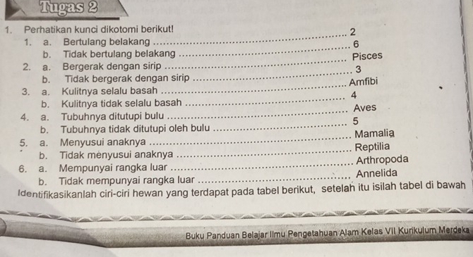 Tugas 2 
_ 
1. Perhatikan kunci dikotomi berikut! 
2 
_ 
1. a. Bertulang belakang 6 
b. Tidak bertulang belakang 
Pisces 
2. a. Bergerak dengan sirip 
_ 
_3 
_ 
b. Tidak bergerak dengan sirip 
Amfibi 
3. a. Kulitnya selalu basah 
_4 
b. Kulitnya tidak selalu basah 
_ 
4. a. Tubuhnya ditutupi bulu _Aves 
5 
b. Tubuhnya tidak ditutupi oleh bulu 
5. a. Menyusui anaknya _Mamalia 
b. Tidak menyusui anaknya _Reptilia 
6. a. Mempunyai rangka luar _Arthropoda 
b. Tidak mempunyai rangka luar _Annelida 
Identifikasikanlah ciri-ciri hewan yang terdapat pada tabel berikut, setelah itu isilah tabel di bawah 
_ 
Buku Panduan Belajar Ilmu Pengetahuan Alam Kelas VII Kurikulum Merdeka