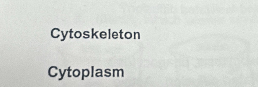 Cytoskeleton 
Cytoplasm