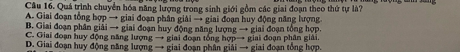 Quá trình chuyển hóa năng lượng trong sinh giới gồm các giai đoạn theo thứ tự là? r s ung
A. Giai đoạn tổng hợp → giai đoạn phần giải → giai đoạn huy động năng lượng.
B. Giai đoạn phân giải → giai đoạn huy động năng lượng → giai đoạn tổng hợp.
C. Giai đoạn huy động năng lượng → giai đoạn tổng hợp→ giai đoạn phân giải.
D. Giai đoạn huy động năng lượng → giai đoạn phân giải → giai đoạn tổng hợp.