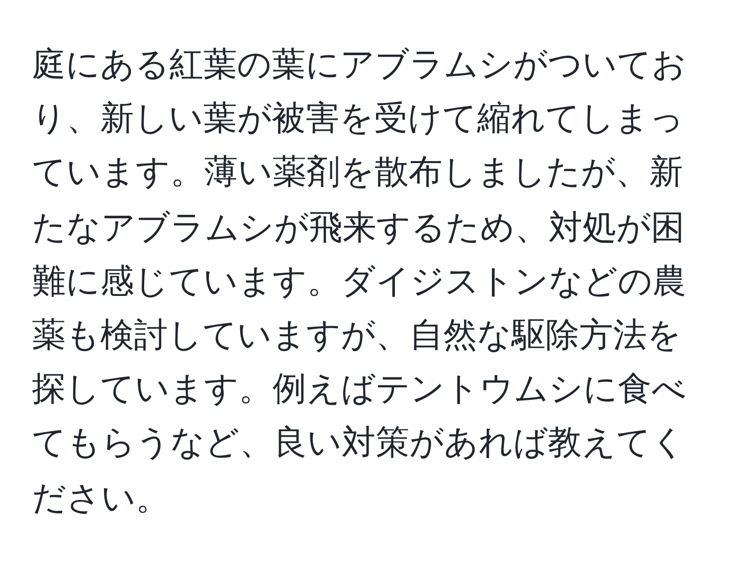 庭にある紅葉の葉にアブラムシがついており、新しい葉が被害を受けて縮れてしまっています。薄い薬剤を散布しましたが、新たなアブラムシが飛来するため、対処が困難に感じています。ダイジストンなどの農薬も検討していますが、自然な駆除方法を探しています。例えばテントウムシに食べてもらうなど、良い対策があれば教えてください。