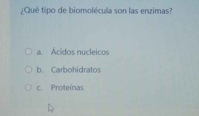 ¿Qué tipo de biomolécula son las enzimas?
a. Ácidos nucleicos
b. Carbohidratos
c. Proteínas