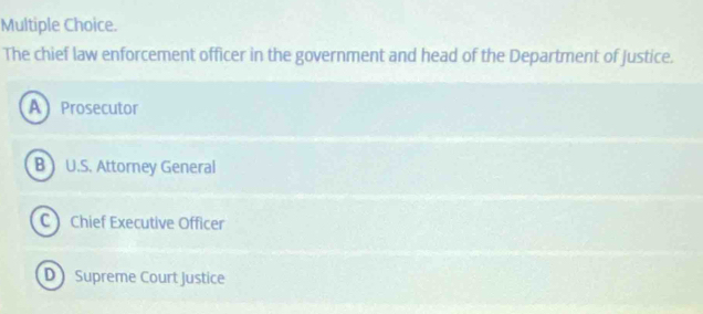 The chief law enforcement officer in the government and head of the Department of Justice.
A Prosecutor
B U.S. Attorney General
C Chief Executive Officer
D Supreme Court Justice