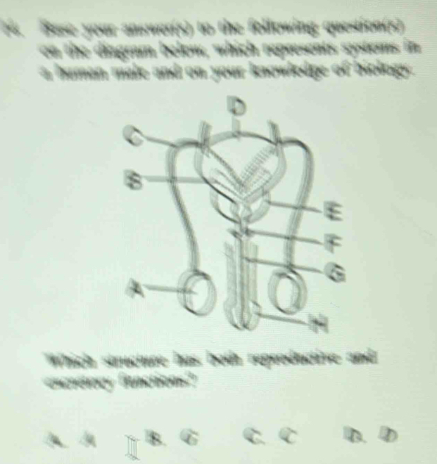 Base your answer(s) to the following question(s) 
on the diagram below, which represents systems in 
a human male and on your knowledpe of biology 
B 
reproa die a n 
Ba 
a