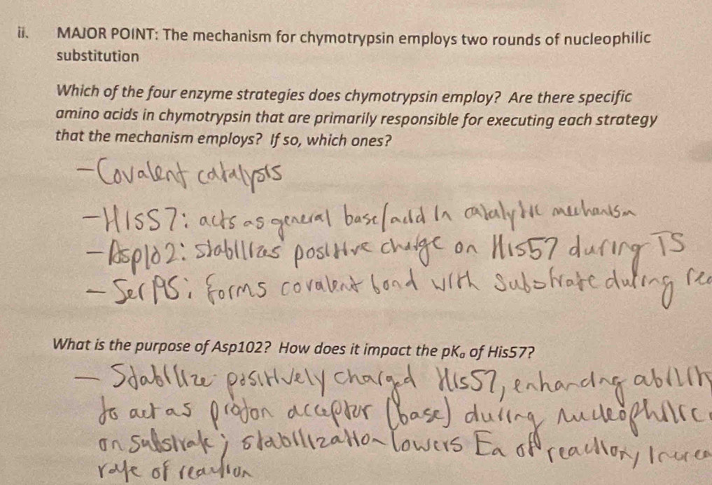 MAJOR POINT: The mechanism for chymotrypsin employs two rounds of nucleophilic 
substitution 
Which of the four enzyme strategies does chymotrypsin employ? Are there specific 
amino acids in chymotrypsin that are primarily responsible for executing each strategy 
that the mechanism employs? If so, which ones? 
What is the purpose of Asp102? How does it impact the pK。 of His57?