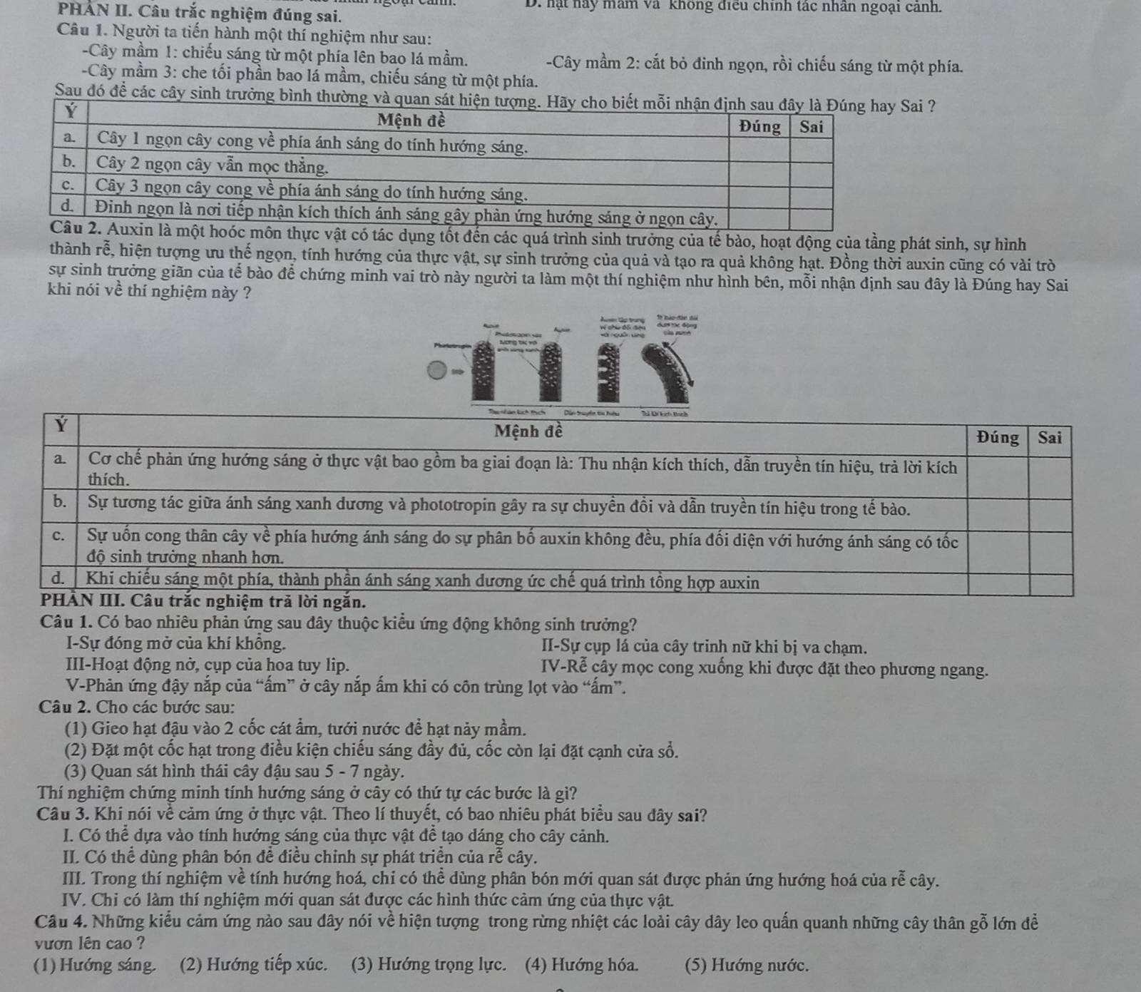 hạt nay mam và không điều chính tác nhân ngoại cảnh.
PHAN II. Câu trắc nghiệm đúng sai.
Câu 1. Người ta tiến hành một thí nghiệm như sau:
-Cây mầm 1: chiếu sáng từ một phía lên bao lá mầm.  -Cây mầm 2: cắt bỏ đinh ngọn, rồi chiếu sáng từ một phía.
-Cây mầm 3: che tối phần bao lá mầm, chiếu sáng từ một phía.
Sau đó đề các cây sinh trưởng bình t ?
c dụng tốt đến các quá trình sinh trưởng của tế bào, hoạt động của tầng phát sinh, sự hình
thành rễ, ế, hiện tượng ưu thế ngọn, tính hướng của thực vật, sự sinh trưởng của quả và tạo ra quả không hạt. Đồng thời auxin cũng có vài trò
sự sinh trưởng giãn của tế bào để chứng minh vai trò này người ta làm một thí nghiệm như hình bên, mỗi nhận định sau đây là Đúng hay Sai
khi nói về thí nghiệm này ?
dượợ tác động
Câu 1. Có bao nhiêu phản ứng sau đây thuộc kiểu ứng động không sinh trưởng?
I-Sự đóng mở của khí khồng. II-Sự cụp lá của cây trinh nữ khi bị va chạm.
III-Hoạt động nở, cụp của hoa tuy lip. IV-Rễ cây mọc cong xuống khi được đặt theo phương ngang.
V-Phản ứng đậy nắp của “ấm” ở cây nắp ấm khi có côn trùng lọt vào “ấm”.
Câu 2. Cho các bước sau:
(1) Gieo hạt đậu vào 2 cốc cát ẩm, tưới nước để hạt nảy mầm.
(2) Đặt một cốc hạt trong điều kiện chiếu sáng đầy đủ, cốc còn lại đặt cạnh cửa sổ.
(3) Quan sát hình thái cây đậu sau 5 - 7 ngày.
Thí nghiệm chứng minh tính hướng sáng ở cây có thứ tự các bước là gi?
Câu 3. Khi nói về cảm ứng ở thực vật. Theo lí thuyết, có bao nhiêu phát biểu sau đây sai?
I. Có thể dựa vào tính hướng sáng của thực vật để tạo dáng cho cây cảnh.
II. Có thể dùng phân bón để điều chỉnh sự phát triển của rễ cây.
III. Trong thí nghiệm về tính hướng hoá, chi có thể dùng phân bón mới quan sát được phản ứng hướng hoá của rễ cây.
IV. Chỉ có làm thí nghiệm mới quan sát được các hình thức cảm ứng của thực vật.
Câu 4. Những kiểu cảm ứng nào sau dây nói về hiện tượng trong rừng nhiệt các loài cây dây leo quấn quanh những cây thân gỗ lớn đề
vươn lên cao ?
(1) Hướng sáng. (2) Hướng tiếp xúc. (3) Hướng trọng lực. (4) Hướng hóa. (5) Hướng nước.