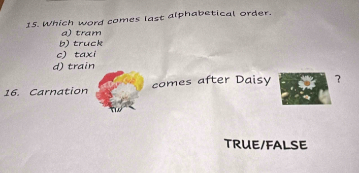 Which word comes last alphabetical order.
a) tram
b) truck
c) taxi
d) train
16. Carnation comes after Daisy
TRUE/FALSE