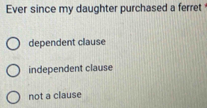 Ever since my daughter purchased a ferret
dependent clause
independent clause
not a clause