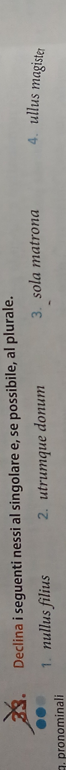 Declina i seguenti nessi al singolare e, se possibile, al plurale. 
1. nullus filius 2. utrumque donum 
3. sola matrona 4. ullus magister 
g. pronominali