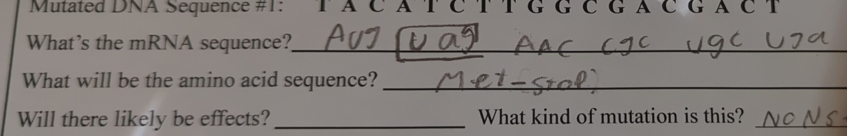 Mutated DNA Sequence #1: TACATCTTGGCGACGACT 
What's the mRNA sequence?_ 
What will be the amino acid sequence?_ 
Will there likely be effects?_ What kind of mutation is this?_