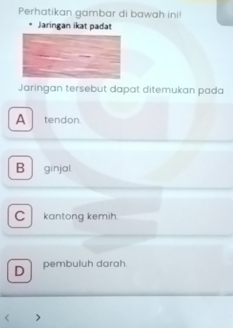 Perhatikan gambar di bawah ini!
Jaringan ikat padat
Jaringan tersebut dapat ditemukan pada
A tendon.
B ginjal.
C kantong kemih.
D pembuluh darah