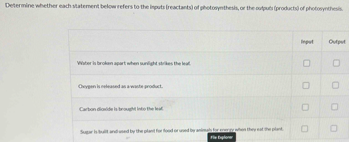 Determine whether each statement below refers to the inputs (reactants) of photosynthesis, or the outputs (products) of photosynthesis. 
t 
File Explorer