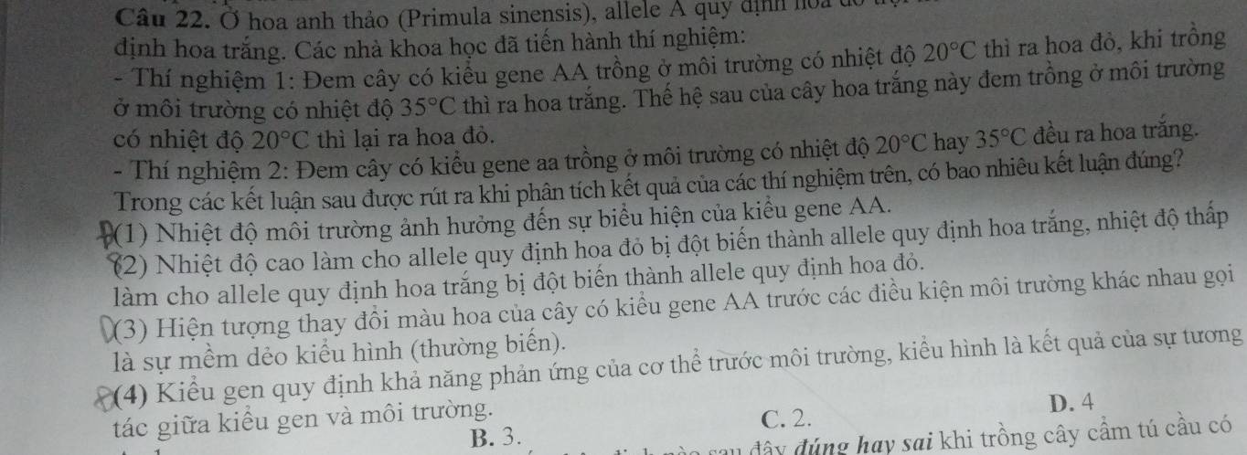 Ở hoa anh thảo (Primula sinensis), allele A quy định hoa 
dịnh hoa trắng. Các nhà khoa học đã tiến hành thí nghiệm:
- Thí nghiệm 1: Đem cây có kiểu gene AA trồng ở môi trường có nhiệt độ 20°C thì ra hoa đỏ, khi trồng
ở môi trường có nhiệt độ 35°C thì ra hoa trắng. Thế hệ sau của cây hoa trắng này đem trồng ở môi trường
có nhiệt độ 20°C thì lại ra hoa đỏ.
- Thí nghiệm 2: Đem cây có kiểu gene aa trồng ở môi trường có nhiệt độ 20°C hay 35°C đều ra hoa trăng.
Trong các kết luận sau được rút ra khi phân tích kết quả của các thí nghiệm trên, có bao nhiêu kết luận đúng?
(1) Nhiệt độ môi trường ảnh hưởng đến sự biểu hiện của kiểu gene AA.
(2) Nhiệt độ cao làm cho allele quy định hoa đỏ bị đột biến thành allele quy định hoa trắng, nhiệt độ thấp
làm cho allele quy định hoa trắng bị đột biến thành allele quy định hoa đỏ.
(3) Hiện tượng thay đồi màu hoa của cây có kiểu gene AA trước các điều kiện môi trường khác nhau gọi
là sự mềm dẻo kiểu hình (thường biến).
4) Kiểu gen quy định khả năng phản ứng của cơ thể trước môi trường, kiểu hình là kết quả của sự tương
tác giữa kiểu gen và môi trường. D. 4
C. 2.
B. 3.
đây đúng hay sai khi trồng cây cầm tú cầu có