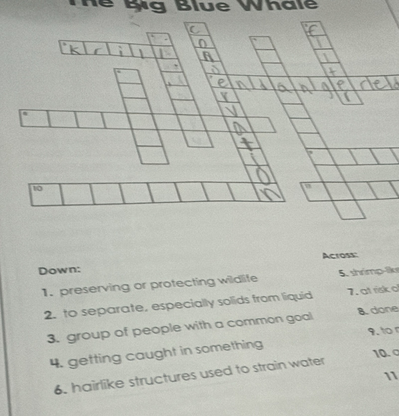 He Bg Blue Whale 
Across: 
Down: 
1. preserving or protecting wildlife 5. shrmp-lke 
2. to separate, especially solids from liquid 7. at risk o 
3. group of people with a common goal 8. done 
4. getting caught in something 9. to r 
6. hairlike structures used to strain water 10. σ 
11