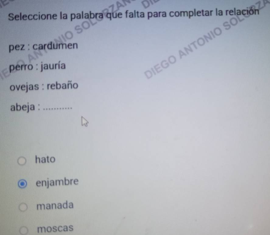 Seleccione la palabra que falta para completar la relación
pez : cardumen
DIEGO AN
perro : jauría
ovejas : rebaño
abeja :_
hato
enjambre
manada
moscas