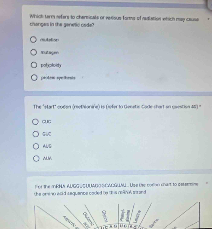 Which term refers to chemicals or various forms of radiation which may cause
changes in the genetic code?
mutation
mulagen
polyploidy
protein synthesis
The "start" codon (methionine) is (refer to Genetic Code chart on question 40) *
CUC
GUC
AUG
AUA
For the mRNA AUGGUGUUAGGGCACGUAU.. Use the codon chart to determine
the amino acid sequence coded by this mRNA strand
al 2 3
Aspartic a ú C A G U C A G