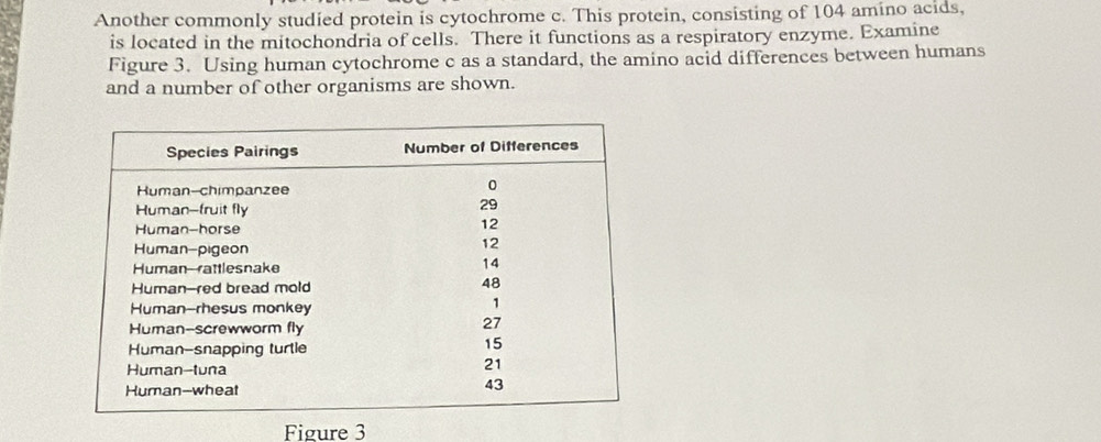 Another commonly studied protein is cytochrome c. This protein, consisting of 104 amino acids, 
is located in the mitochondria of cells. There it functions as a respiratory enzyme. Examine 
Figure 3. Using human cytochrome c as a standard, the amino acid differences between humans 
and a number of other organisms are shown. 
Figure 3