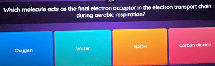 Which molecule acts as the final electron acceptor in the electron transport chain
during aerobic respiration?
NADH
Oxygen Water Carbon dioxide