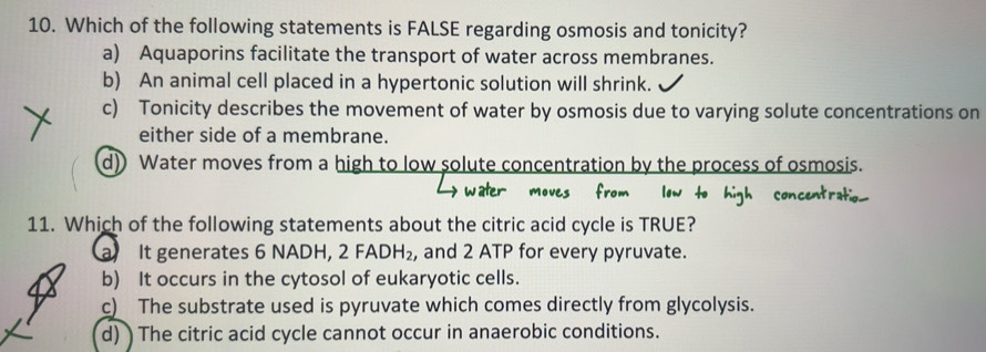 Which Of The Following Statements About Osmosis Is False
