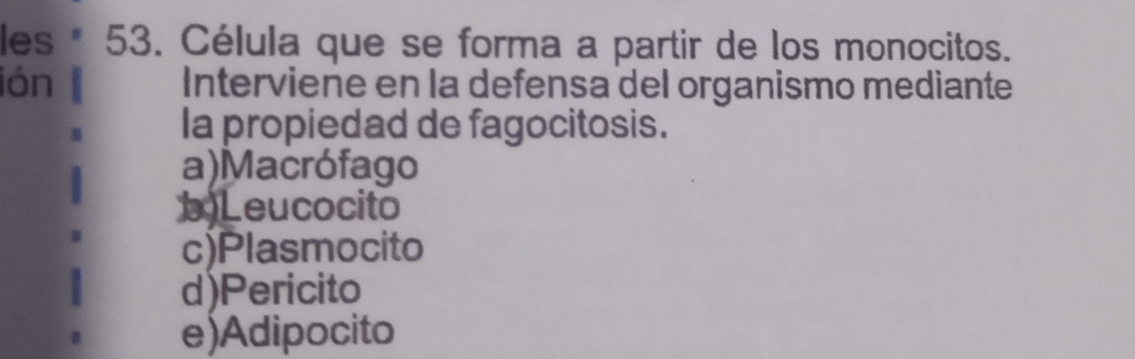 les * 53. Célula que se forma a partir de los monocitos.
ión Interviene en la defensa del organismo mediante
Ia propiedad de fagocitosis.
a)Macrófago
b)Leucocito
c)Plasmocito
d)Pericito
e)Adipocito