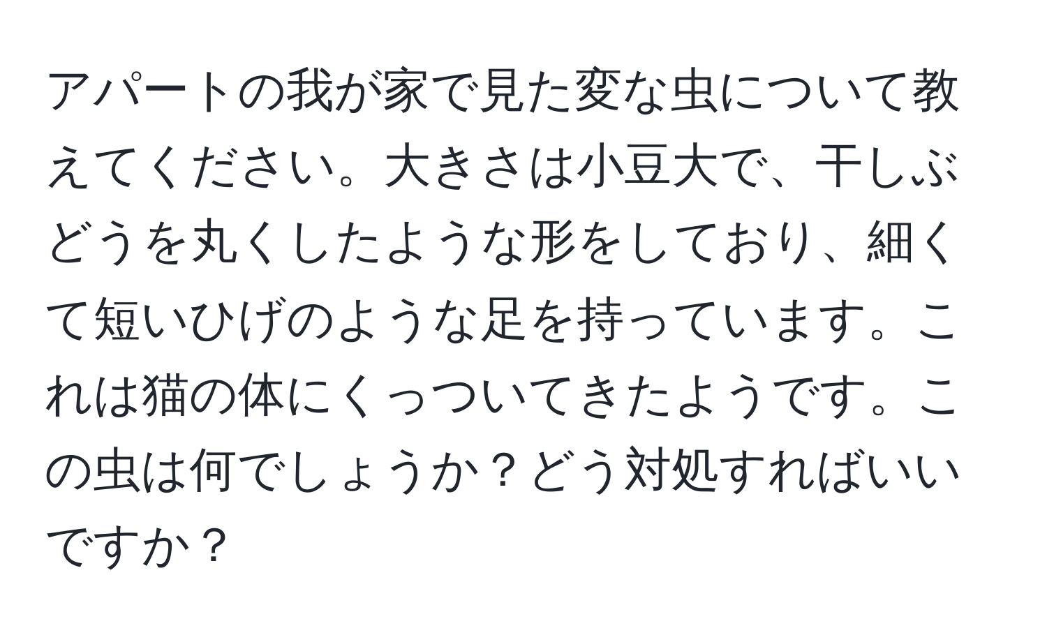 アパートの我が家で見た変な虫について教えてください。大きさは小豆大で、干しぶどうを丸くしたような形をしており、細くて短いひげのような足を持っています。これは猫の体にくっついてきたようです。この虫は何でしょうか？どう対処すればいいですか？