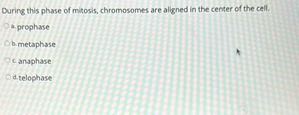 During this phase of mitosis, chromosomes are aligned in the center of the cell.
a. prophase
b. metaphase
c. anaphase
d. telophase