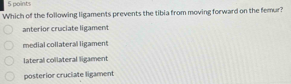 Which of the following ligaments prevents the tibia from moving forward on the femur?
anterior cruciate ligament
medial collateral ligament
lateral collateral ligament
posterior cruciate ligament