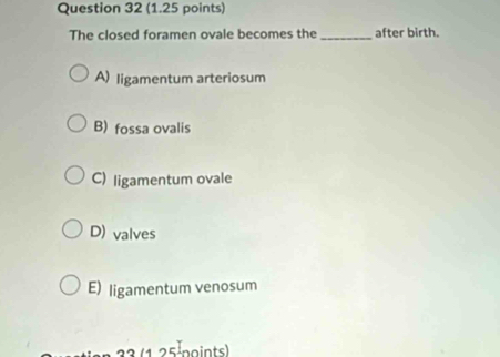 The closed foramen ovale becomes the _after birth.
A) ligamentum arteriosum
B) fossa ovalis
C) ligamentum ovale
D) valves
E) ligamentum venosum