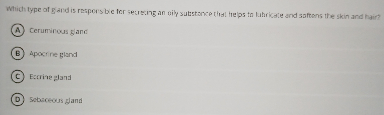 Which type of gland is responsible for secreting an oily substance that helps to lubricate and softens the skin and hair?
ACeruminous gland
BApocrine gland
CEccrine gland
DSebaceous gland