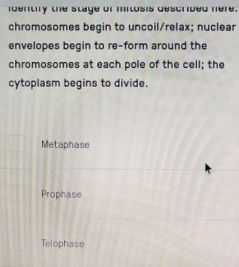 identiy the stage of mitosis described here.
chromosomes begin to uncoil/relax; nuclear
envelopes begin to re-form around the
chromosomes at each pole of the cell; the
cytoplasm begins to divide.
Metaphase
Prophase
Telophase